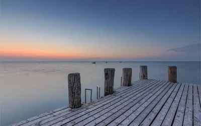 Denken ohne Geländer – Beratung in komplexen Zeiten